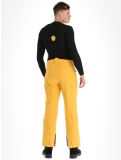 Miniatura Icepeak, Freiberg pantalones de esquí modelo pequeño hombres Yellow amarillo 