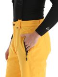 Miniatura Icepeak, Freiberg pantalones de esquí modelo pequeño hombres Yellow amarillo 