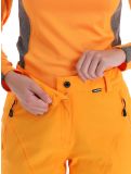 Miniatura Icepeak, Freyung pantalones de esquí mujeres Abricot naranja 