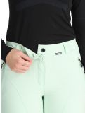 Miniatura Icepeak, Freyung pantalones de esquí mujeres Aloe verde 