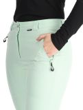 Miniatura Icepeak, Freyung pantalones de esquí mujeres Aloe verde 