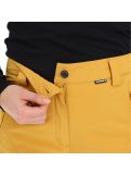 Miniatura Icepeak, Freyung pantalones de esquí slim fit mujeres fudge marrón