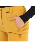 Miniatura Icepeak, Freyung pantalones de esquí slim fit mujeres fudge marrón