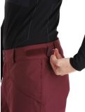 Miniatura O'Neill, Hammer pantalones de esquí hombres Windsor Wine borgoña 