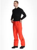 Miniatura O'Neill, Hammer Regular Snow pantalones de esquí hombres Paprika Flame naranja 