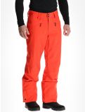 Miniatura O'Neill, Hammer Regular Snow pantalones de esquí hombres Paprika Flame naranja 