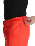 Miniatura O'Neill, Hammer Regular Snow pantalones de esquí hombres Paprika Flame naranja 