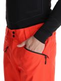 Miniatura O'Neill, Hammer Regular Snow pantalones de esquí hombres Paprika Flame naranja 