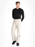 Miniatura O'Neill, Hammer Regular Snow pantalones de esquí hombres Atmosphere blanco 