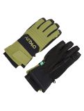 Miniatura Oakley, B1B guantes de esquí unisex Fern verde 