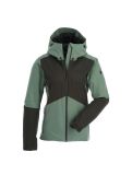 Miniatura Peak Performance, Anima Gtx chaqueta de esquí mujeres fells view verde