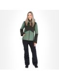 Miniatura Peak Performance, Anima Gtx chaqueta de esquí mujeres fells view verde