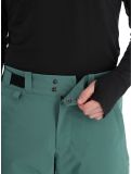 Miniatura Peak Performance, M Insulated Ski pantalones de esquí hombres Smoke Pine verde 