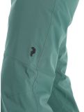 Miniatura Peak Performance, M Insulated Ski pantalones de esquí hombres Smoke Pine verde 