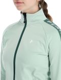 Miniatura Peak Performance, W Rider Mid Zip chaleco mujeres Delta Green Smoke Pine verde 