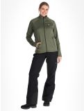 Miniatura Peak Performance, W Rider Zip chaleco mujeres Pine Needle verde 