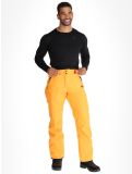 Miniatura Picture, Plan pantalones de esquí hombres Carrot naranja 