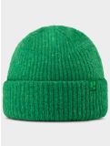 Miniatura Poederbaas, Artic Beanie gorro unisex Island Green verde 