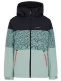 Miniatura Protest, PRTFUGEE JR chaqueta de esquí niños Green Baygreen negro, verde 