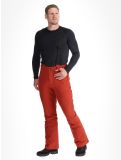 Miniatura Protest, PRTMIKADO pantalones de esquí hombres Barn Red rojo 