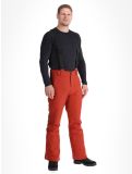 Miniatura Protest, PRTMIKADO pantalones de esquí hombres Barn Red rojo 