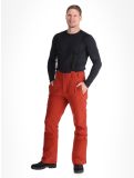 Miniatura Protest, PRTMIKADO pantalones de esquí hombres Barn Red rojo 