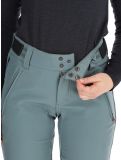 Miniatura Protest, PRTRELOLE pantalones de esquí mujeres Evergreen verde 