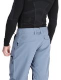 Miniatura Quiksilver, Utility pantalones de esquí hombres Flint Stone gris 