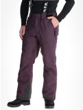 Miniatura Rehall, Backbone-R pantalones de esquí hombres Plum Perfect púrpura 