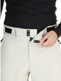 Miniatura Rehall, Benn-R pantalones de esquí hombres Gravel Stone beige 