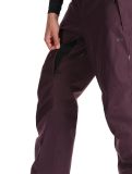 Miniatura Rehall, Laricks-R pantalones de esquí hombres Plum Perfect púrpura 