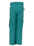 Miniatura Rehall, Rooky-R pantalones de esquí niños Green Pool verde 