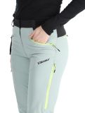 Miniatura Rehall, Stormy-R pantalones de esquí mujeres Jadeite gris 