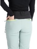 Miniatura Rehall, Stormy-R pantalones de esquí mujeres Jadeite gris 