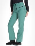 Miniatura Rehall, Yves-R pantalones de esquí softshell mujeres Smoke Pine verde 