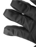 Miniatura Reusch, Reusch Doubletake R-TEX® XT guantes de esquí hombres Black / Black Melange negro 