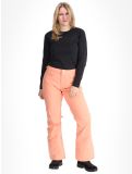 Miniatura Roxy, Backyard pantalones de esquí mujeres Peach Pink rosa 