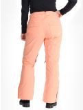 Miniatura Roxy, Backyard pantalones de esquí mujeres Peach Pink rosa 