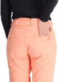 Miniatura Roxy, Backyard pantalones de esquí mujeres Peach Pink rosa 