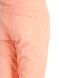 Miniatura Roxy, Backyard pantalones de esquí mujeres Peach Pink rosa 