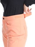 Miniatura Roxy, Backyard pantalones de esquí mujeres Peach Pink rosa 