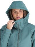 Miniatura Roxy, Meade chaqueta de esquí mujeres Sea Pine verde 