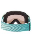 Miniatura Sinner, Olympia gafas de esquí unisex Matt Light Mint verde 