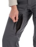 Miniatura Spyder, Dare pantalones de esquí hombres Polar gris 