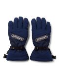 Miniatura Spyder, Overweb GTX guantes de esquí hombres True Navy azul 