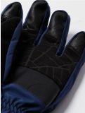 Miniatura Spyder, Overweb GTX guantes de esquí hombres True Navy azul 