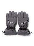 Miniatura Spyder, Overweb GTX guantes de esquí hombres Polar gris 