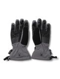 Miniatura Spyder, Overweb GTX guantes de esquí hombres Polar gris 