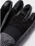 Miniatura Spyder, Overweb GTX guantes de esquí hombres Polar gris 