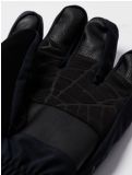 Miniatura Spyder, Overweb GTX guantes de esquí hombres Black negro 